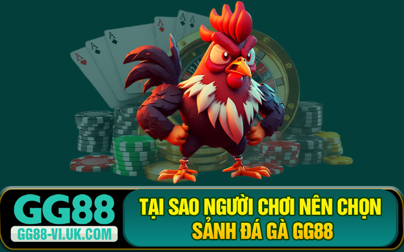 Tại Sao Người Chơi Nên Chọn Sảnh Đá Gà GG88