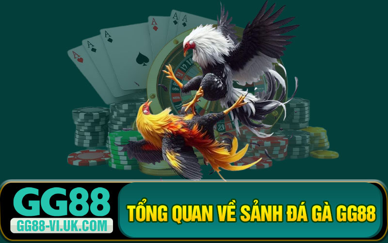 Tổng Quan Về Sảnh Đá Gà GG88